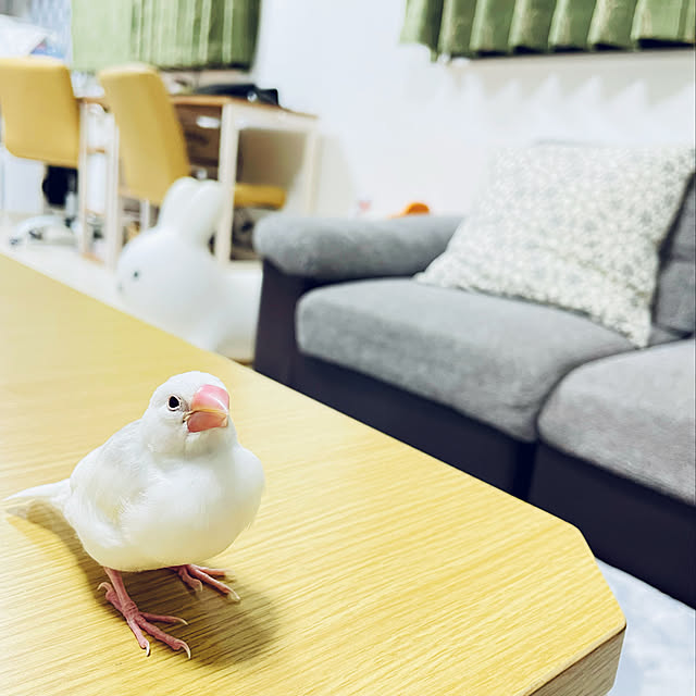 myaaaさんの実例写真