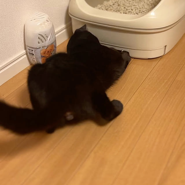 rioさんの実例写真