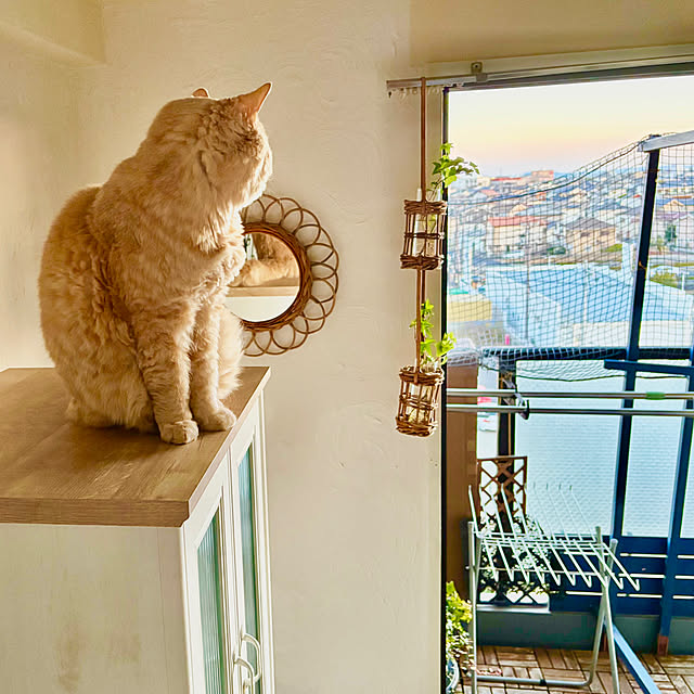 naokoさんの部屋