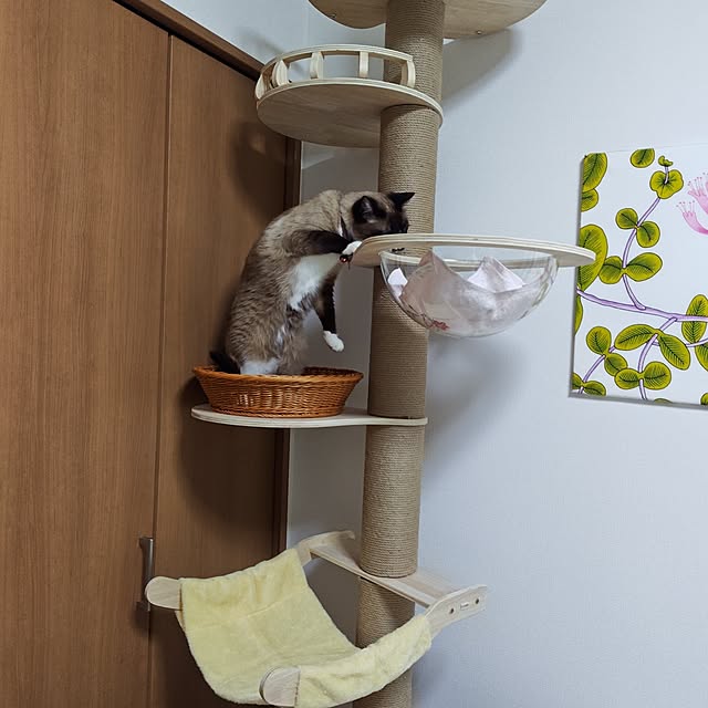 k-buchikoさんの部屋