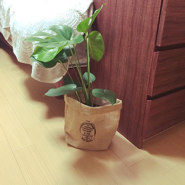 maytrucさんの実例写真