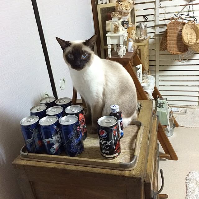 chadoさんの実例写真