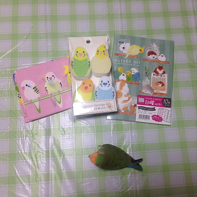 aoinokimiさんの実例写真