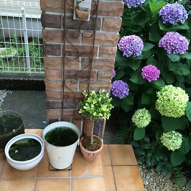 cocoさんの実例写真