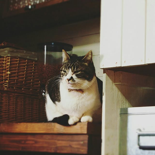 yukiさんの実例写真