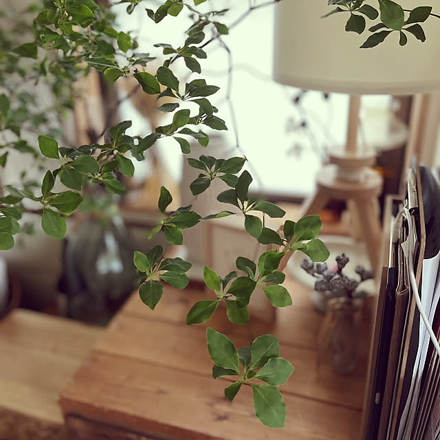 nikoさんの部屋