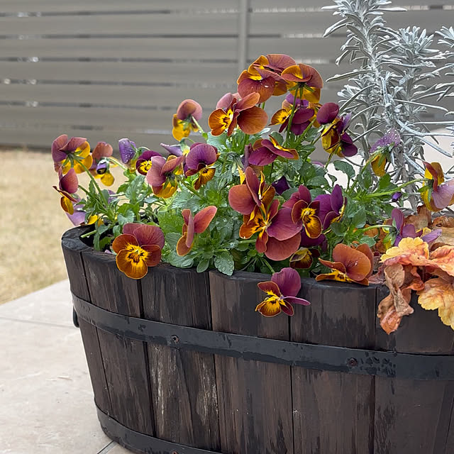 miyu39さんの部屋