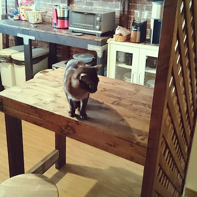 Shianさんの実例写真