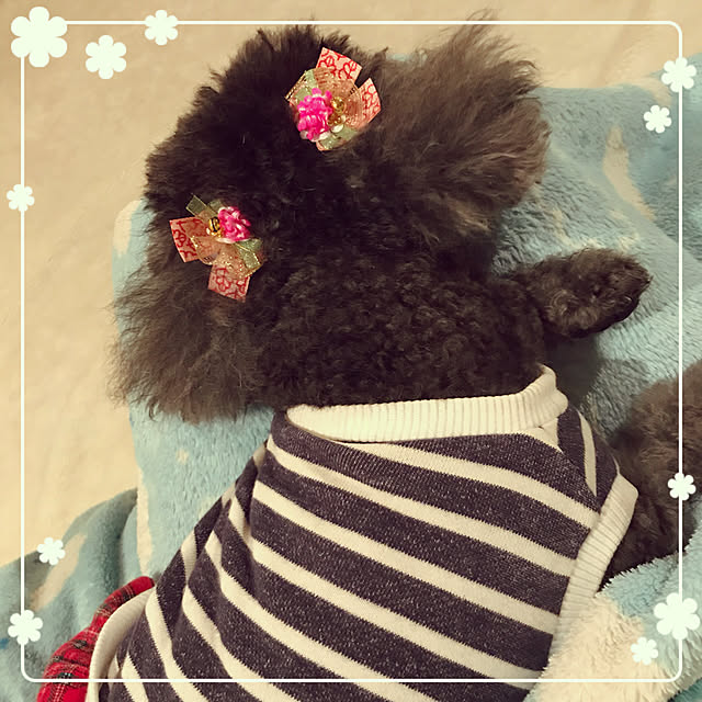 makkoさんの実例写真