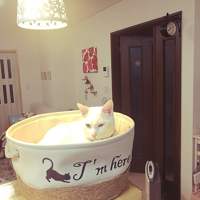 moyuhiさんの実例写真