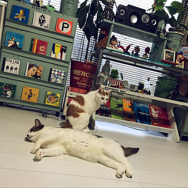 arayanさんの実例写真