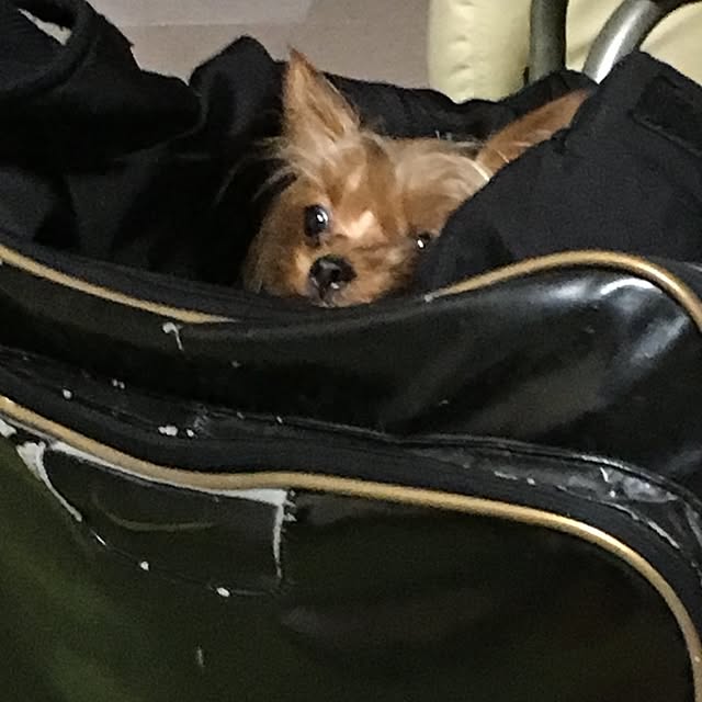 ToshiKoさんの実例写真