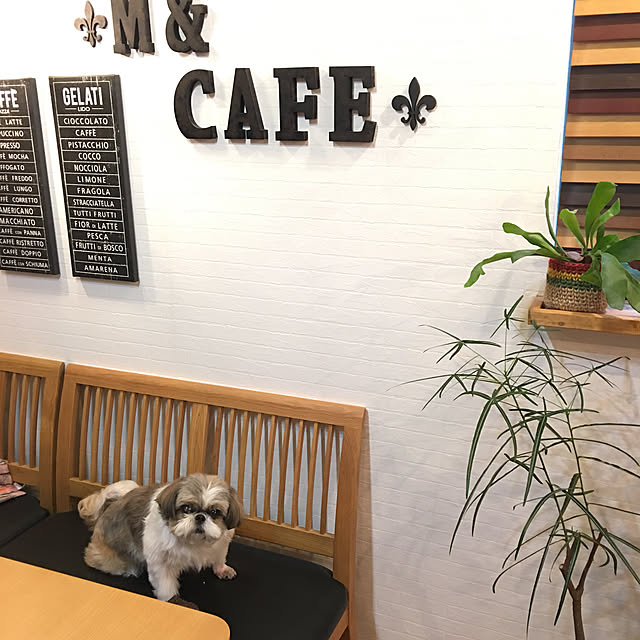 ANNAさんの実例写真