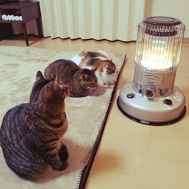 motoさんの実例写真