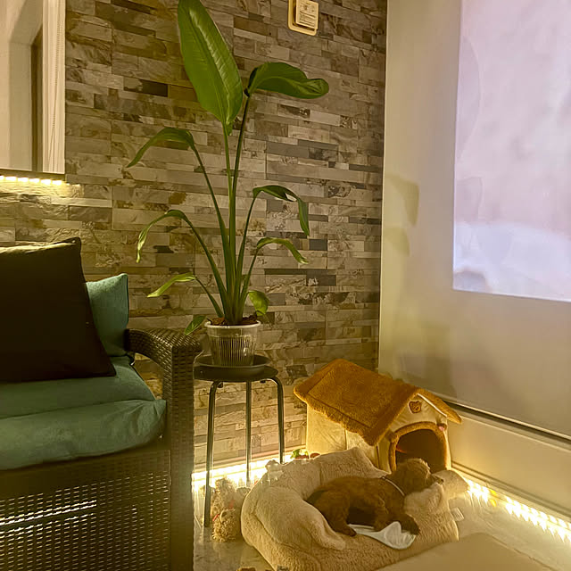 MOMOMAMAさんの実例写真