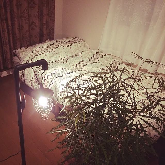 実例写真