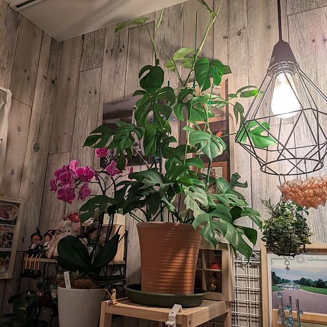 quanshanxia037さんの実例写真