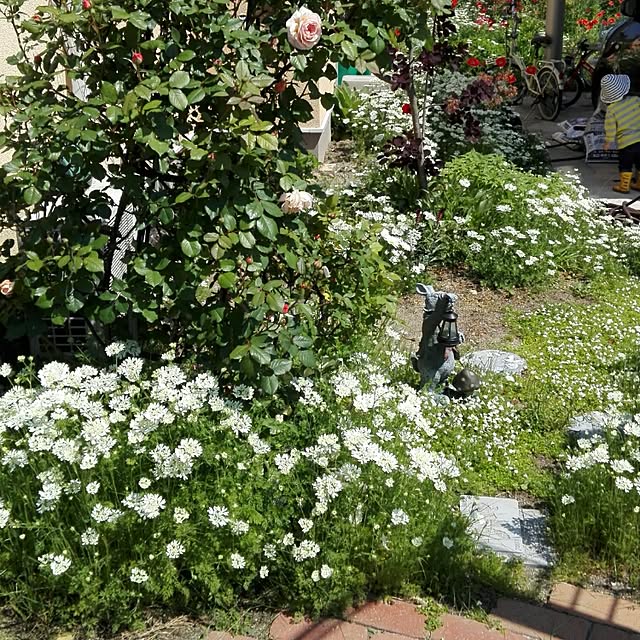 noraさんの実例写真