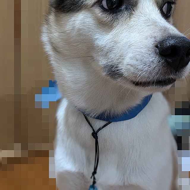 asaさんの部屋