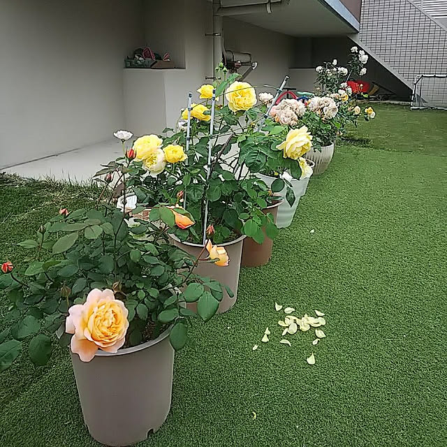 hiromimiさんの実例写真