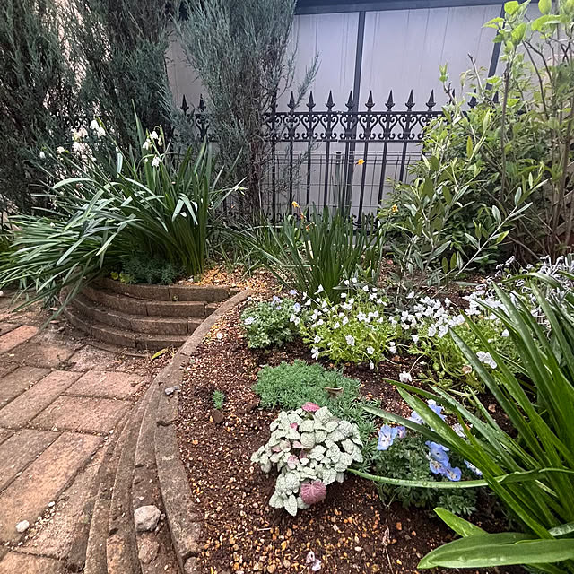 momocchiさんの部屋