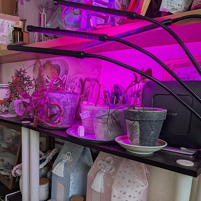 chi_gogaさんの部屋