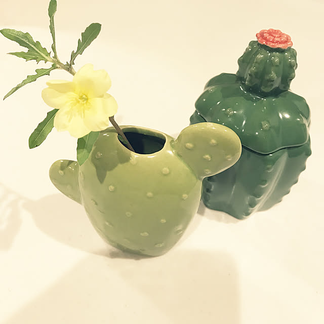 pimoさんの実例写真