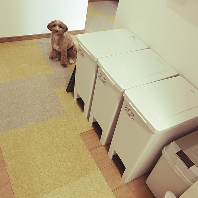 erikoさんの実例写真