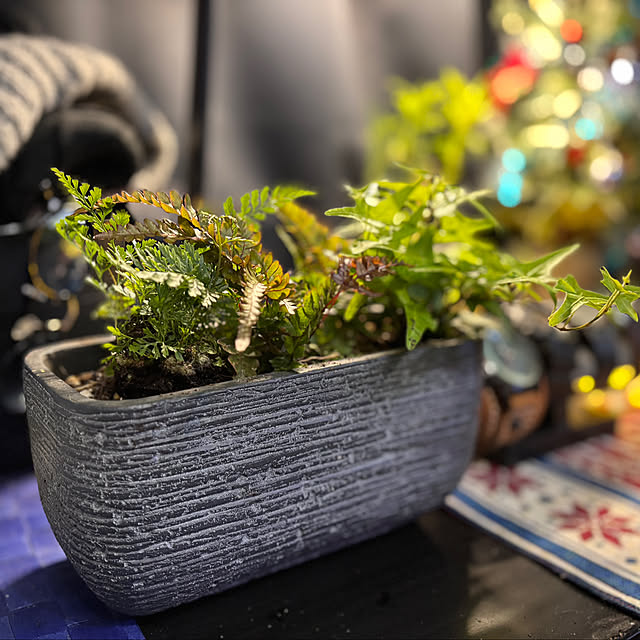 tututu0204さんの実例写真