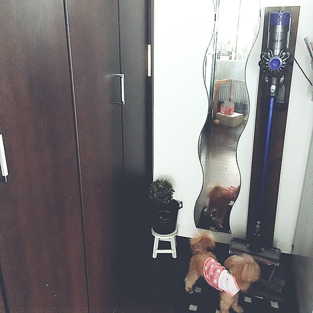 risaさんの実例写真