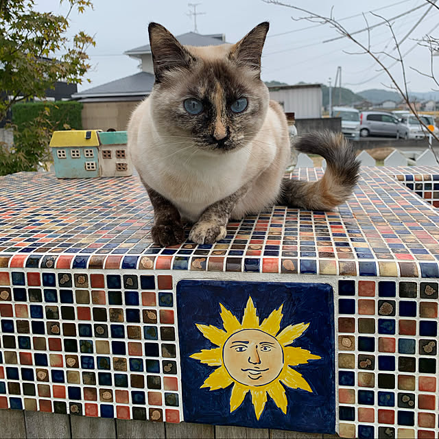 miyaさんの実例写真