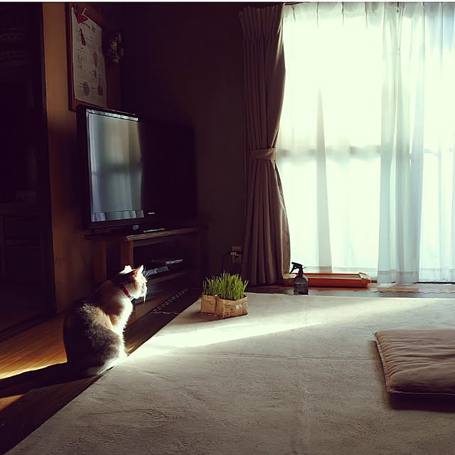 fukuさんの実例写真