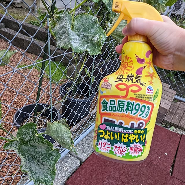 ponhanaさんの実例写真