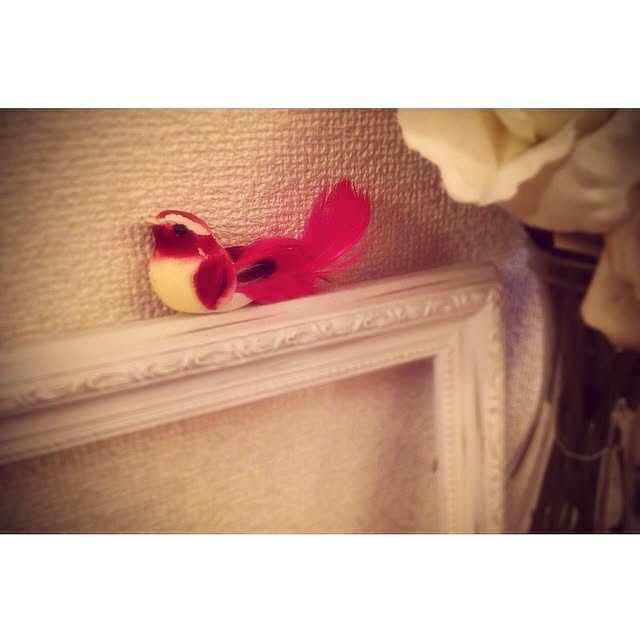 ciel...antiqueさんの実例写真