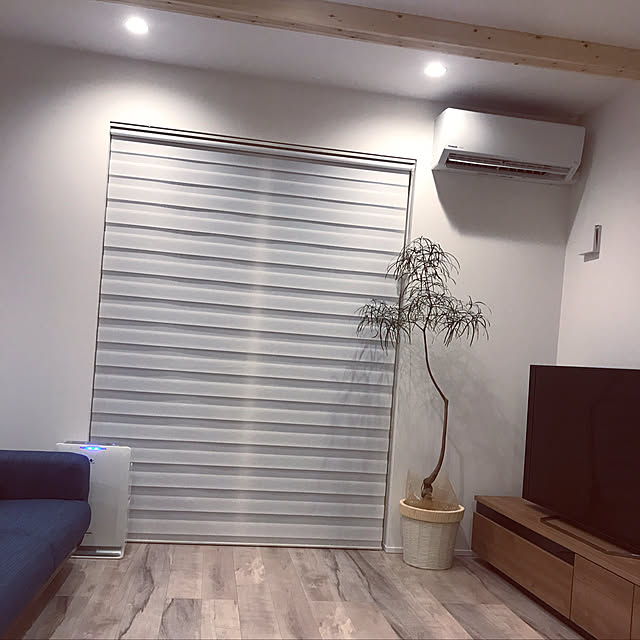 Rafflesiaさんの実例写真