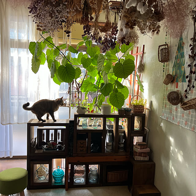 mohhaさんの実例写真