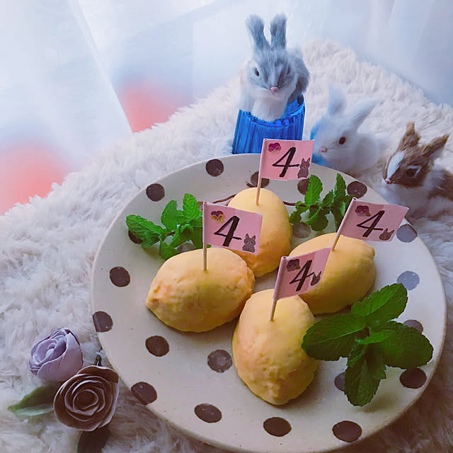 portulacaさんの実例写真