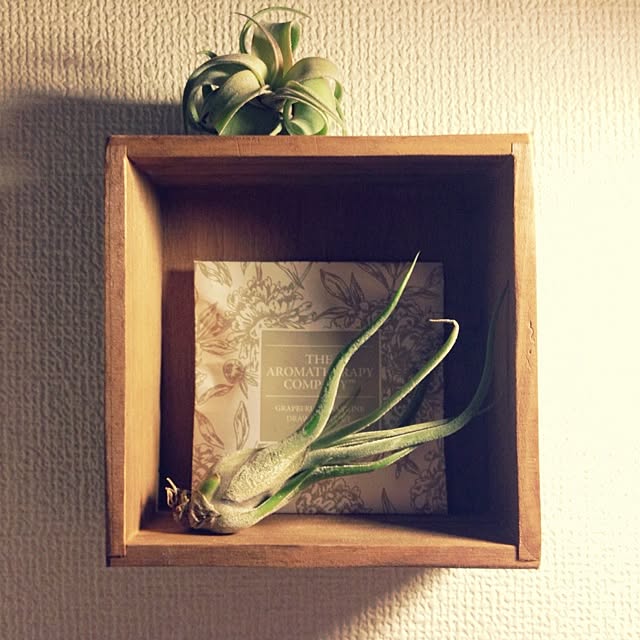 MMさんの実例写真
