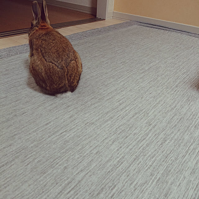 yuuuuさんの実例写真