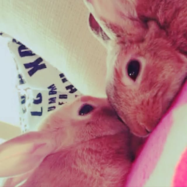 m-t3646さんの実例写真
