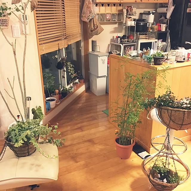 makoriさんの実例写真