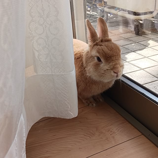 aiさんの部屋