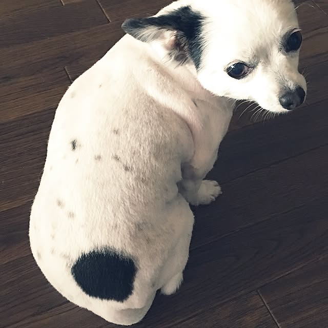 ohanaさんの実例写真
