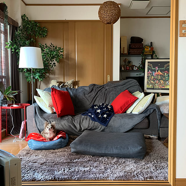 実例写真