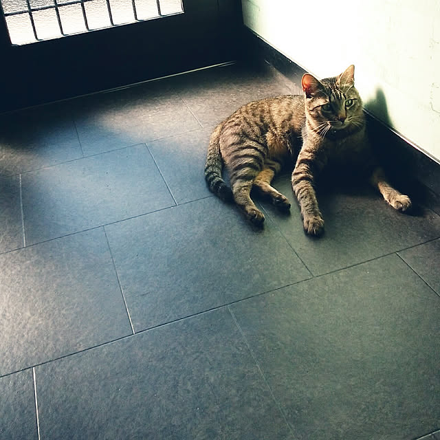 nenekoさんの実例写真