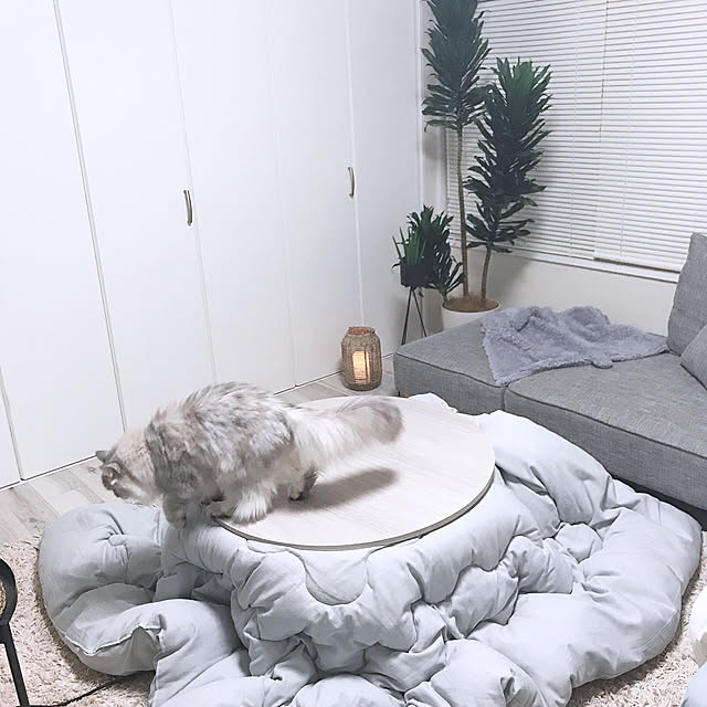 moon.mさんの実例写真