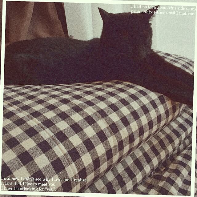 miyokoさんの実例写真