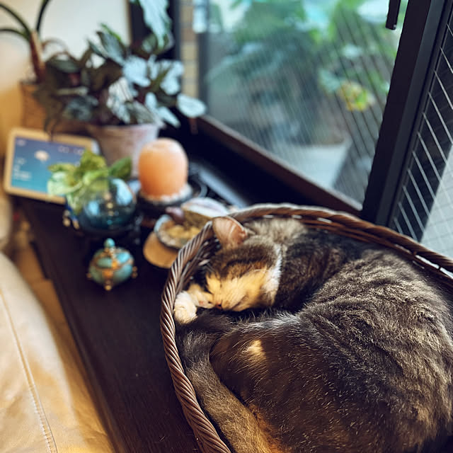 Kyouさんの部屋