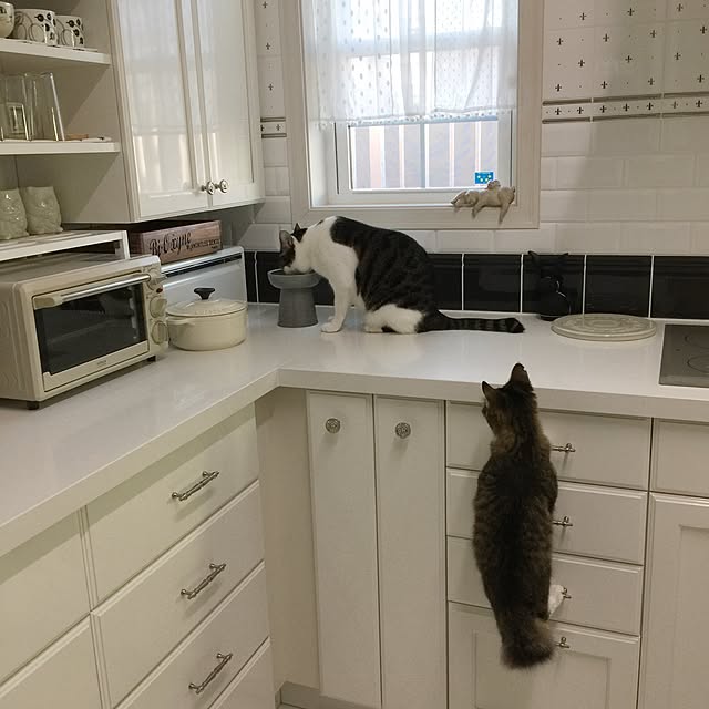 yuchiさんの実例写真