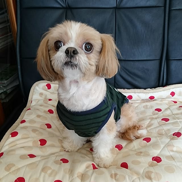 ronさんの実例写真